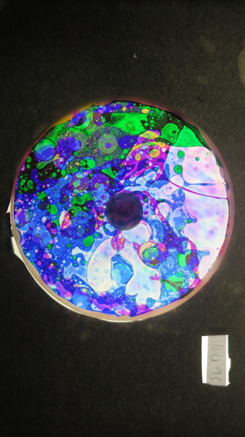 BV4095 bubble vision oil wheel